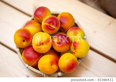 Minami Takane plum 91366411