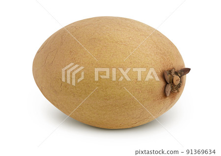 Sapodilla isolated on white background with full depth of field 91369634