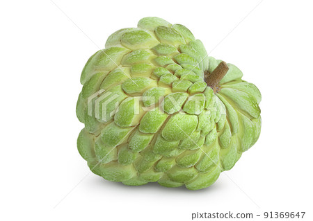 Sugar apple or custard apple isolated on white background with full depth of field. Exotic tropical Thai annona or cherimoya fruit Sugar apple or custard apple isolated on white background with full depth of field. Exotic tropical Thai annona or cherimoya fruit 91369647