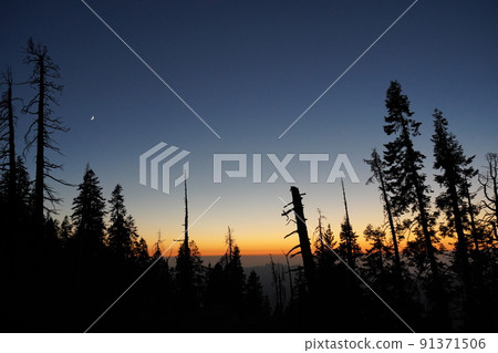 Sequoia National Park dusk view 91371506