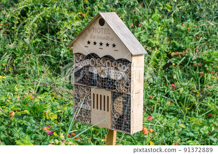 Insect hotel (Hotel dla owadow). 91372889