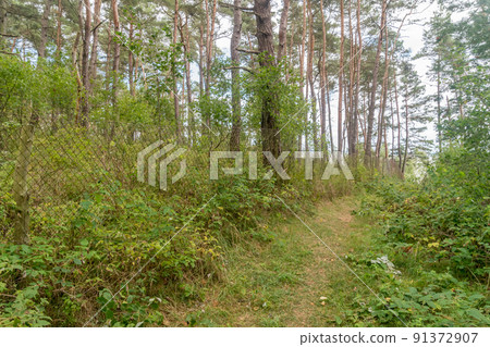 Fence along Polish - Russian border in Nowa Karczma, Krynica Morska. Fence along Polish - Russian border in Nowa Karczma, Krynica Morska. 91372907