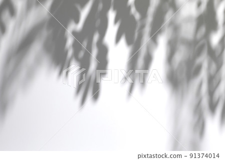 shadows of tree leaves branches on a white wall 91374014
