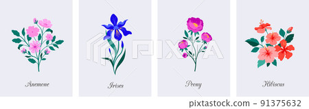 Spring botanical flowers illustrations. Blooming garden flowers. Irises, peony, anemone and hibiscus 91375632