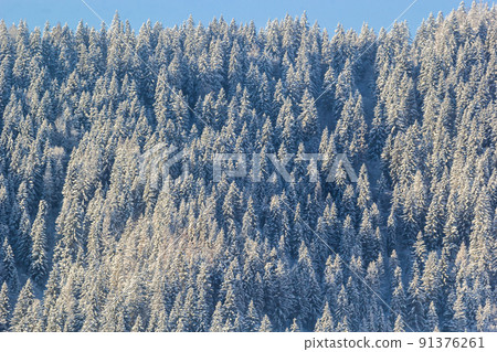 Rural hills, groves and agricultural lands in the winter remote Carpathian mountain village. brae 91376261