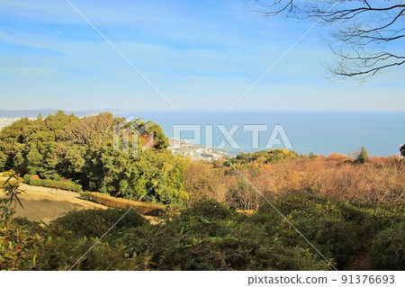 Odawara city view from Ichiyajo in Odawara city 91376693