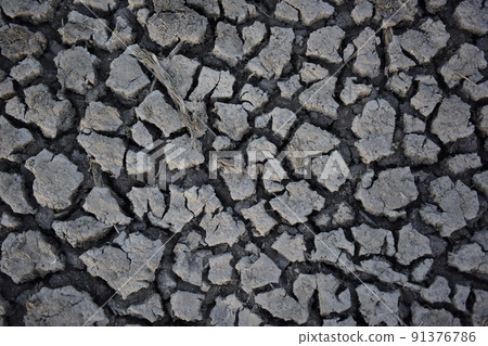 Dry soil.La Pampa Argentina 91376786