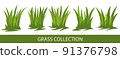 Green grass collection 91376798