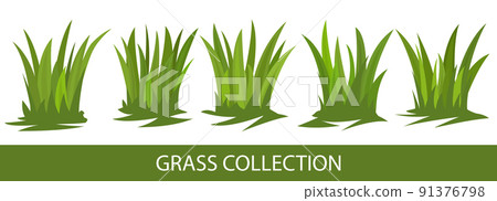 Green grass collection 91376798