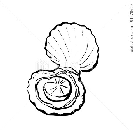Simple illustration sumi-e pen drawing scallop 91378609