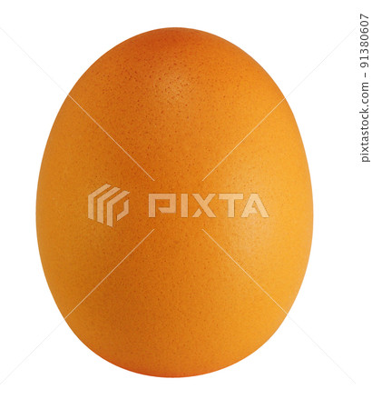 egg egg 91380607