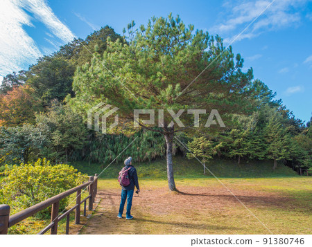 阿里山對高岳車站 91380746