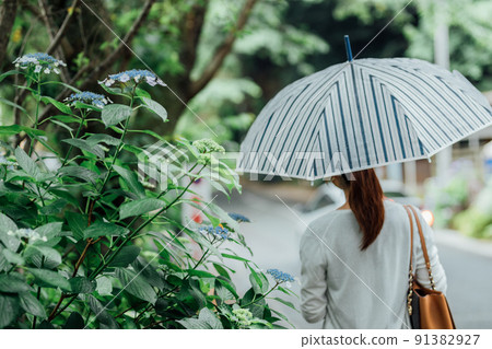 A woman walking in Katahara Onsen Hydrangea Village A woman walking in Katahara Onsen Hydrangea Village 91382927