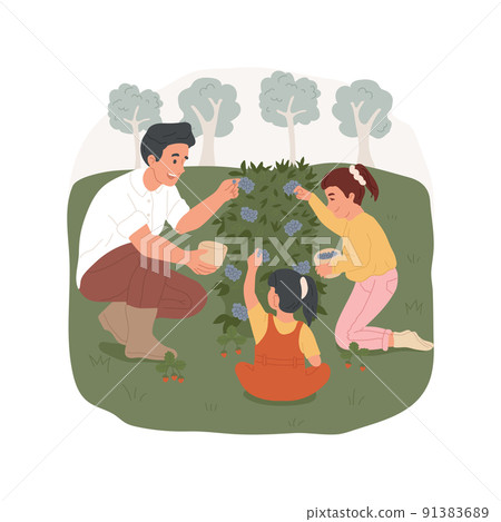 Gather wild berries isolated cartoon vector illustration. Parents and kids walking in the forest, gathering berries on glade, camping activity, picking from bush, holding bucket vector cartoon. Gather wild berries isolated cartoon vector illustration. Parents and kids walking in the forest, gathering berries on glade, camping activity, picking from bush, holding bucket vector cartoon. 91383689