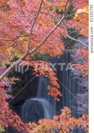 Autumn waterfall, a glimpse of the scenery from the autumn leaves-2 Autumn waterfall, a glimpse of the scenery from the autumn leaves-2 91385795