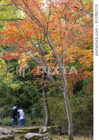 Scenery with people who enjoy walking in the park of autumn leaves-5 Scenery with people who enjoy walking in the park of autumn leaves-5 91386319