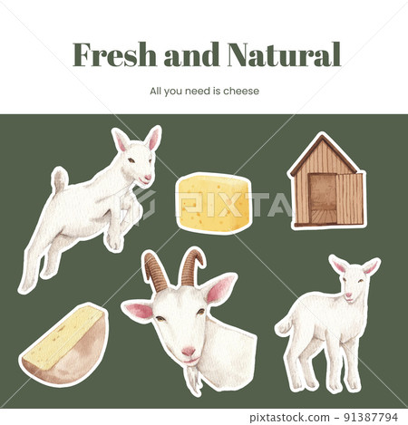 Sticker template with goat milk and cheese farm concept,watercolor style 91387794