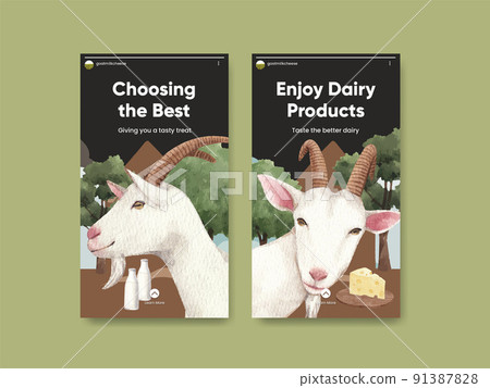 Instagram template with goat milk and cheese farm concept,watercolor style Instagram template with goat milk and cheese farm concept,watercolor style 91387828