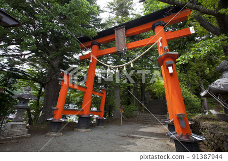 Red pole Torii entrance gate in path way up to Chureito pagoda fuji best mountain viewpoint with colorful autumn foliage leaf in Shimoyoshida Japan. Red pole Torii entrance gate in path way up to Chureito pagoda fuji best mountain viewpoint with colorful autumn foliage leaf in Shimoyoshida Japan. 91387944