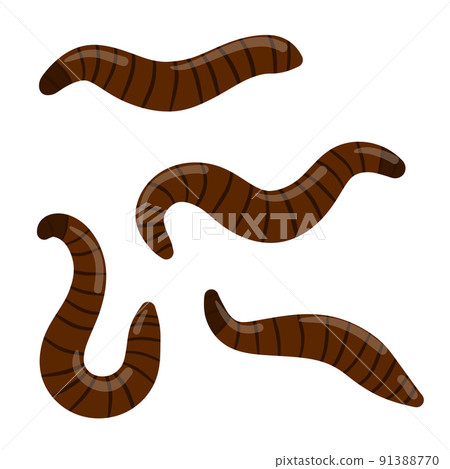 Leech. Set of bloodsucking insect Leech. Set of bloodsucking insect 91388770