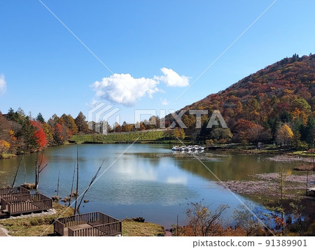 Autumn Chausan plateau, Yakeike pond where the scenery reflects Autumn Chausan plateau, Yakeike pond where the scenery reflects 91389901