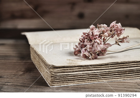 Flower on opened book 91390294