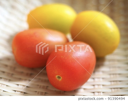 Family garden tomato 91390494