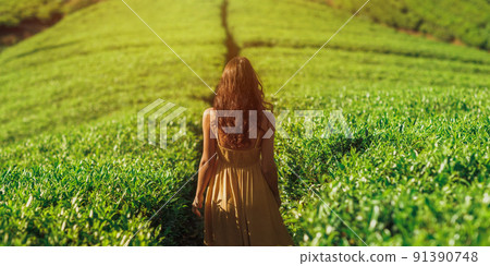 Woman Traveler in Front of Nature Background Tea Plantations Landscape 91390748