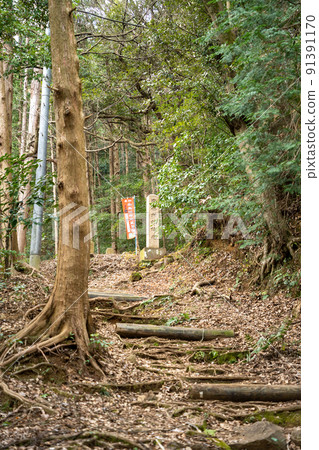 [神奈川] 阿彌陀寺山門 91391170