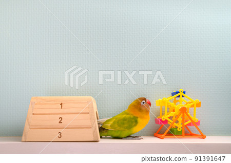 按鈕軟木塞 91391647