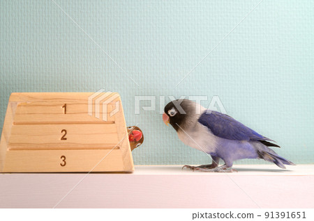 按鈕軟木塞 91391651