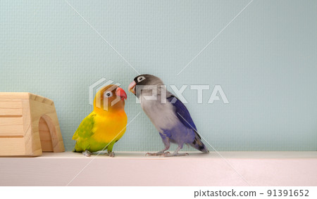 按鈕軟木塞 91391652