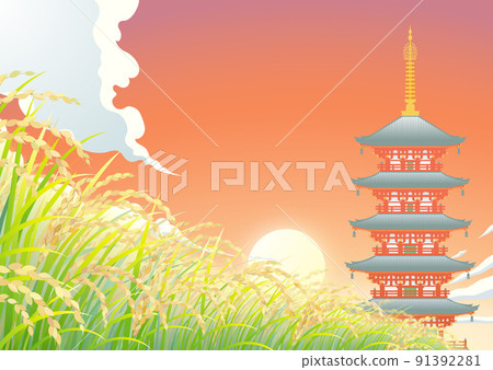 稻田 稻田 日落 天空 91392281