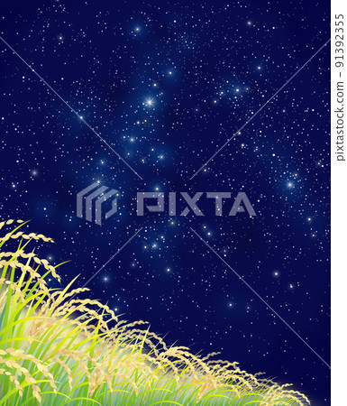 Rice rice field rice field starry sky Rice rice field rice field starry sky 91392355