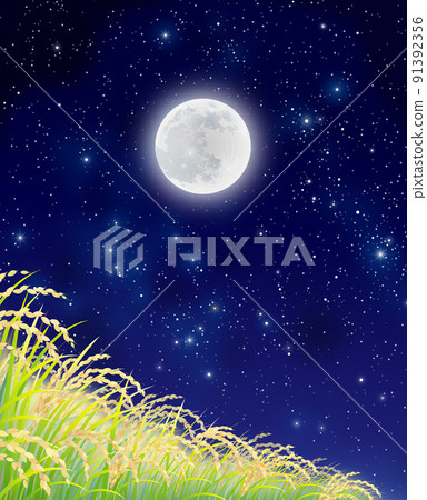 Rice rice field rice field full moon Rice rice field rice field full moon 91392356