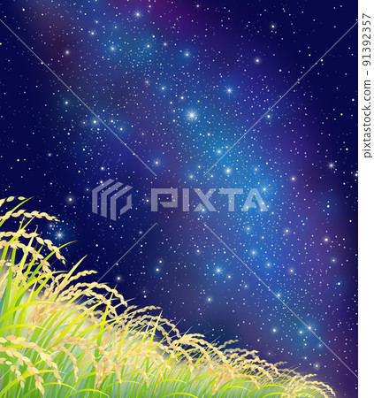 Rice rice field rice field Milky Way Rice rice field rice field Milky Way 91392357
