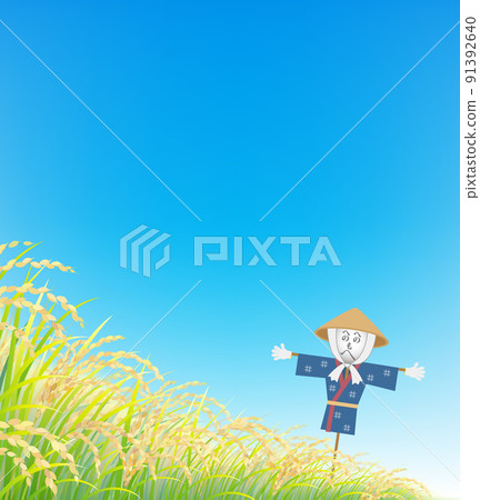 Rice Inaho Rice field Scarecrow 91392640