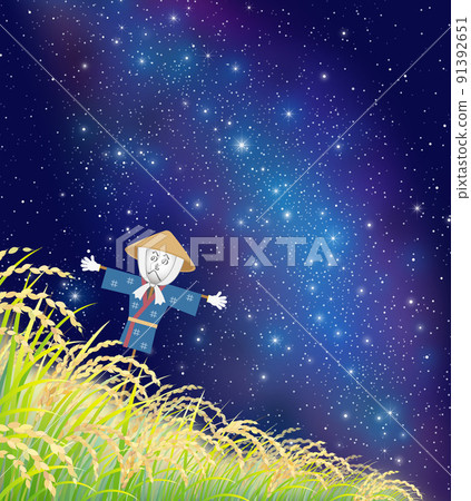 Rice Inaho Rice field Scarecrow Milky Way 91392651