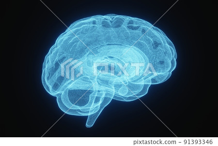 Glowing X-ray image of human brain in blue wireframe on isolated black background. Science and medical concept. Side of brain. 3D illustration rendering Glowing X-ray image of human brain in blue wireframe on isolated black background. Science and medical concept. Side of brain. 3D illustration rendering 91393346