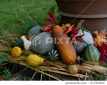 Halloween  91394000