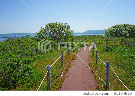 Hokkaido Kimuaneppu Cape 91394650
