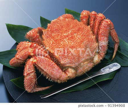Alive king crab 91394908