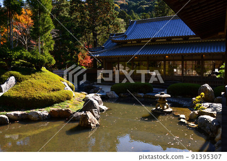 Hata Tama Tamari Nagashi Hata Tama Tamari Nagashi 91395307