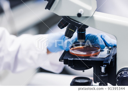 Laboratory development laboratory clinical examination biotechnology new drug 91395344