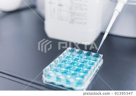 Laboratory Development Laboratory Laboratory Development Laboratory 91395347