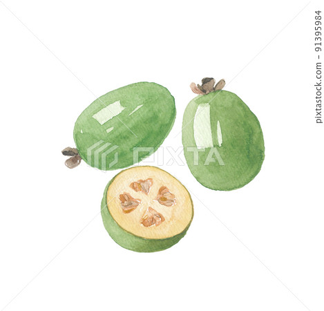 菲約橫截面 91395984