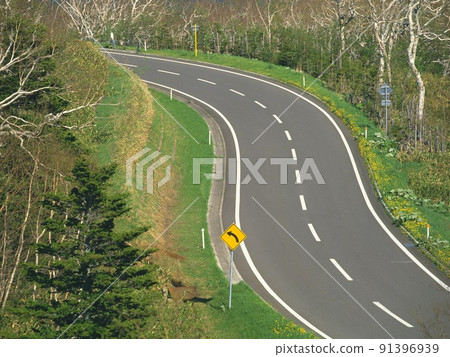 road in Russian forest road in Russian forest 91396939