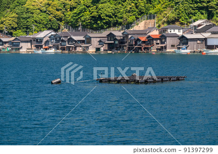 《京都府》伊根船屋·初夏的新鮮綠色季節 91397299