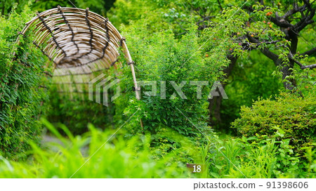 Fresh green tunnel / negative ion: Mukojima Hyakkaen 91398606