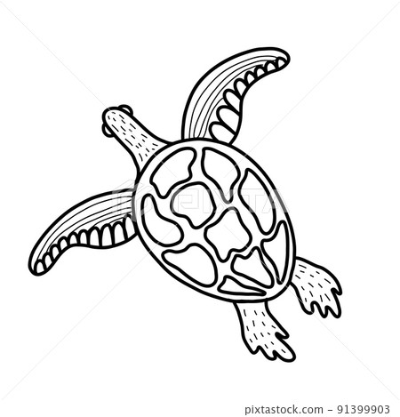 Cute sea turtle. Vector illustration in the style of a doodle Cute sea turtle. Vector illustration in the style of a doodle 91399903